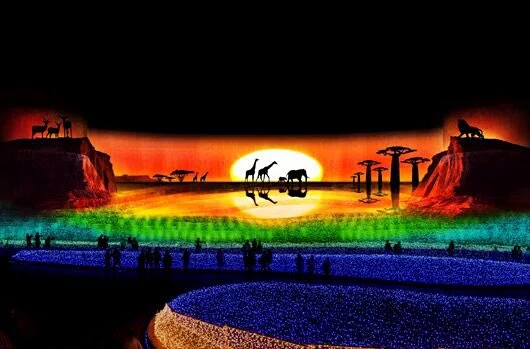 アフリカ大陸のシーン